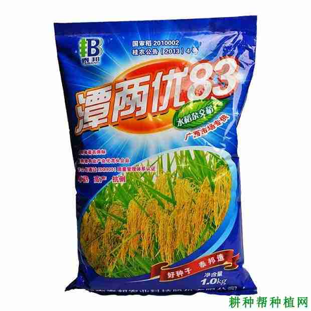 水稻品种潭两优143(潭两优215种子价格)